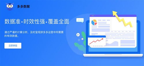 多多數(shù)聚、多多情報(bào)通與多多參謀 江西企業(yè)如何選擇最適合的軟件開發(fā)工具？